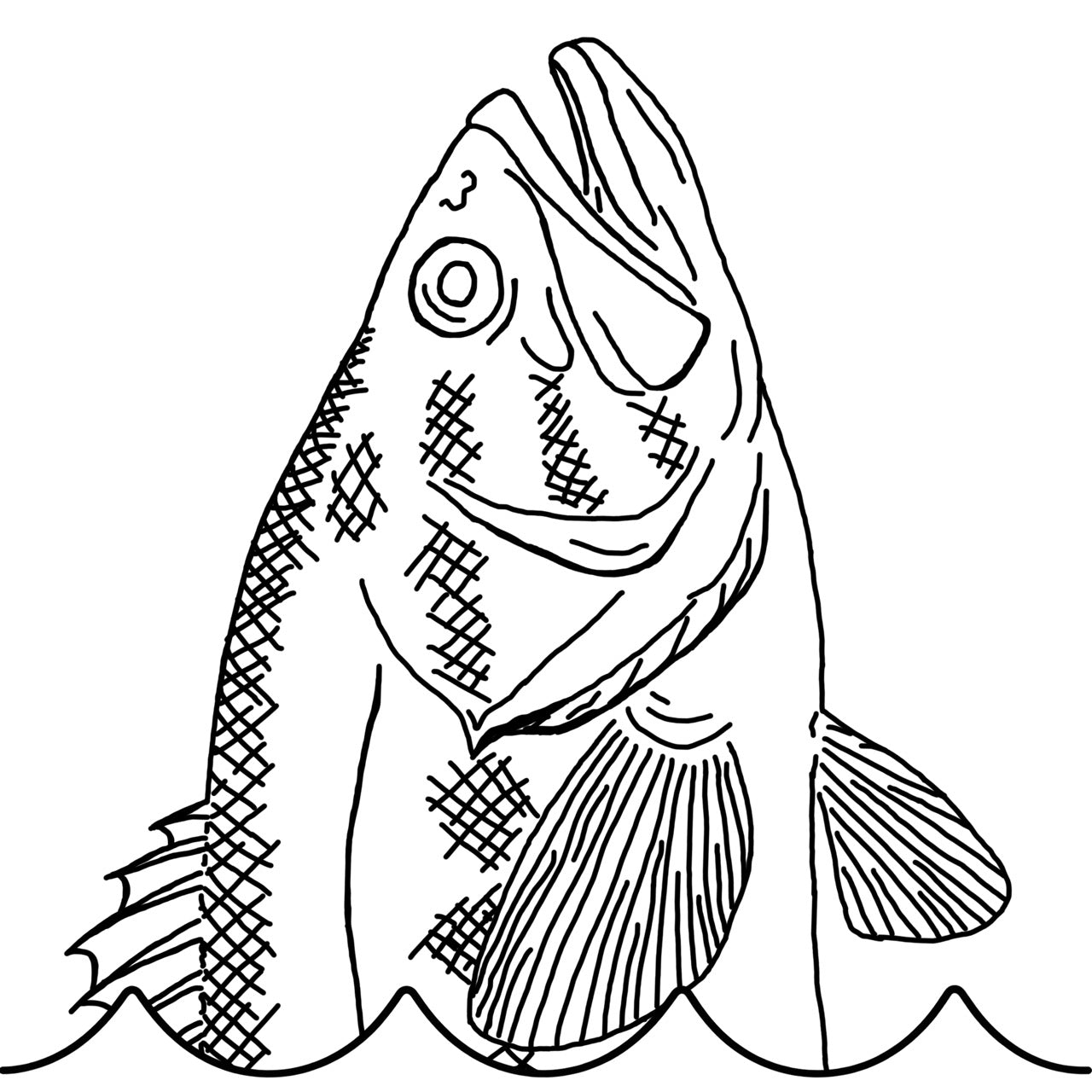 bass_collection_-_stor.jpg